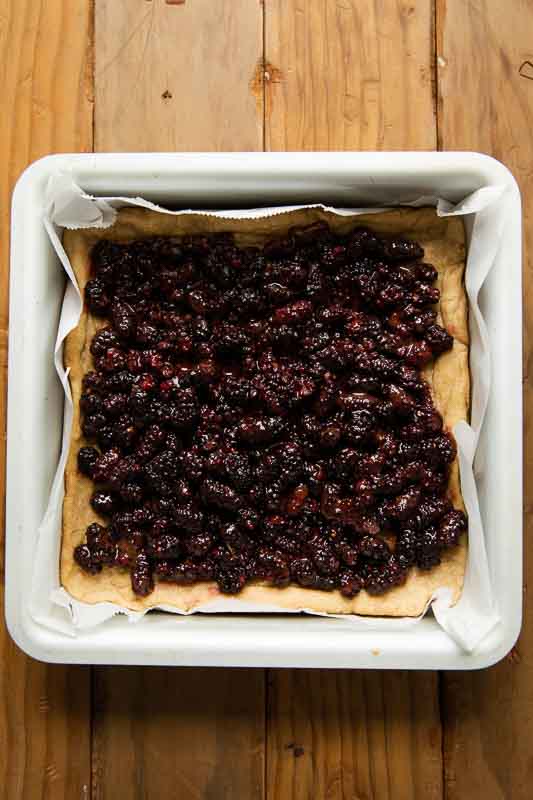 Mulberry pie filling in a pie crust.