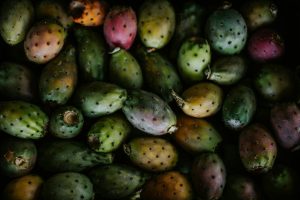Prickly pears for margarita recipe.