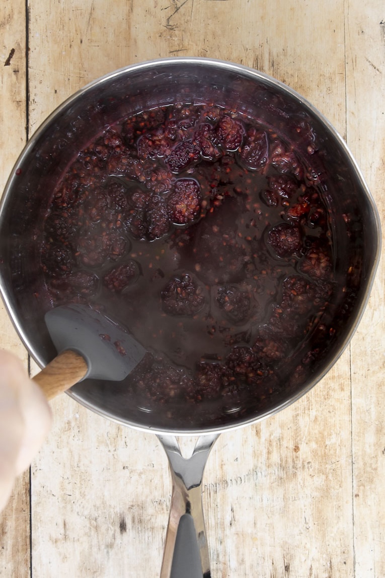 Easy Blackberry Compote (Under 30 Minutes!) - Desserts & Drinks
